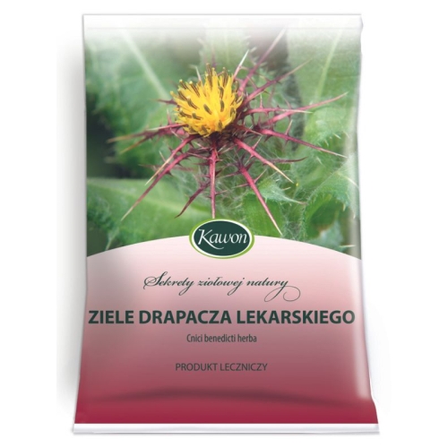 Drapacz lekarski ziele 50g.