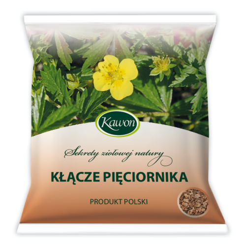Pięciornik kłącze 50g - środek spożywczy